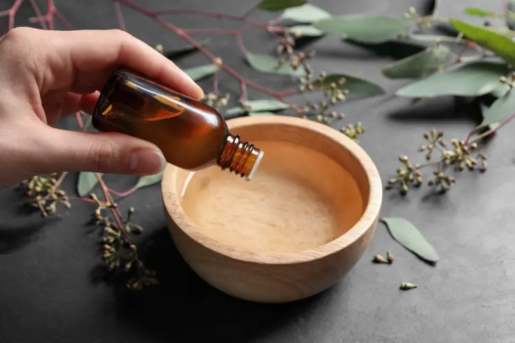 huile essentielle contre les punaises de lit tea tree clou de girofle