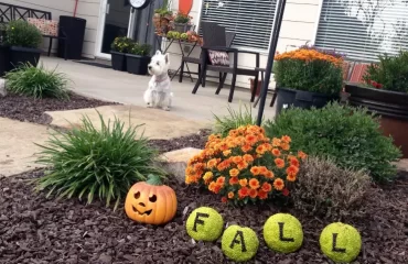 idée de décoration d automne extérieur avec oranger des osages @housewebought