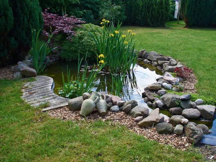 idée diy bordure de jardin en pierre pour bassin exstérieur plantes flotantes