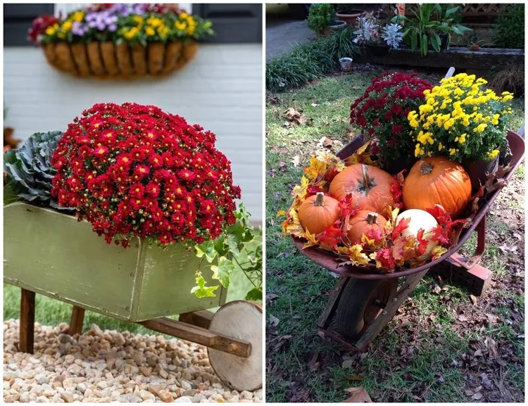 idée diy décoration d'automne avec des chrysanthèmes jardin extérieur