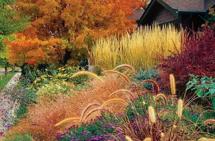jardin décoratif en automne que planter