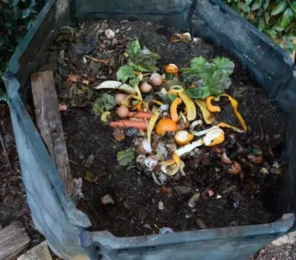 mauvaises odeurs dans le compost que faire