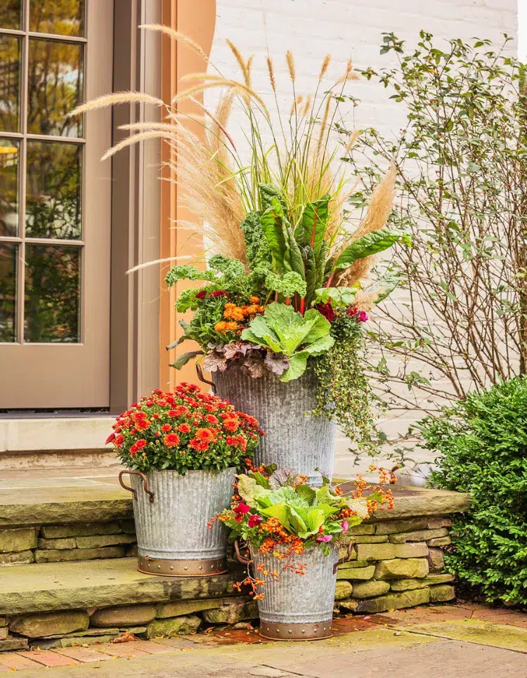 planter des chrysanthèmes dans un pot vec des légumes décoration avec herbe de pampas