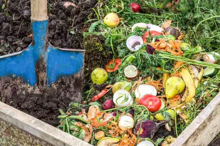 pourquoi mon compost sent mauvais causes possibles