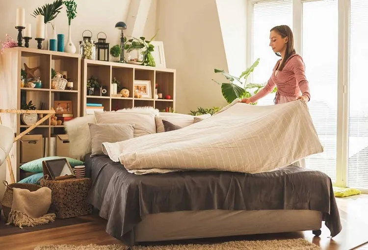 que faire pour ne pas ramener des punaises de lit à la maison top astuces pour prévenir éviter une infestation
