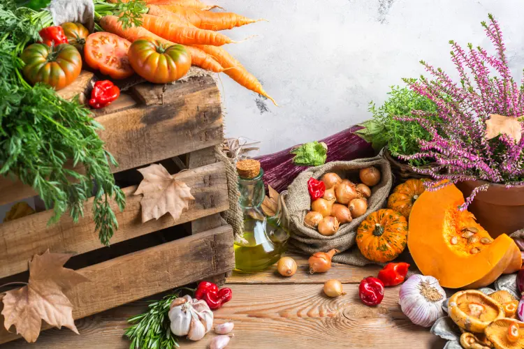 que planter au potager en novembre légumes automne antoninavlasova envato