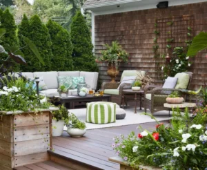 quel arbuste feuilles persistantes pour terrasse jardin sud pleine terre soleil