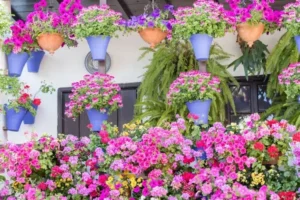 quelle plante associer avec un géranium vivace magnifiques compositions pourraient hiverner intérieur soins adéquats