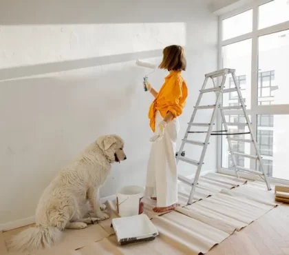 réussir vos travaux de rénovation astuces conseils de pro