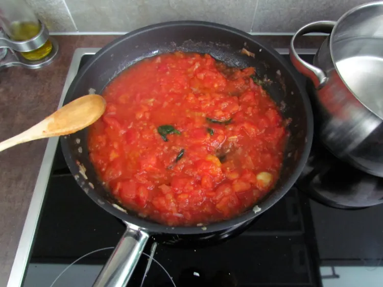 sauce tomate pour ketchup 2023
