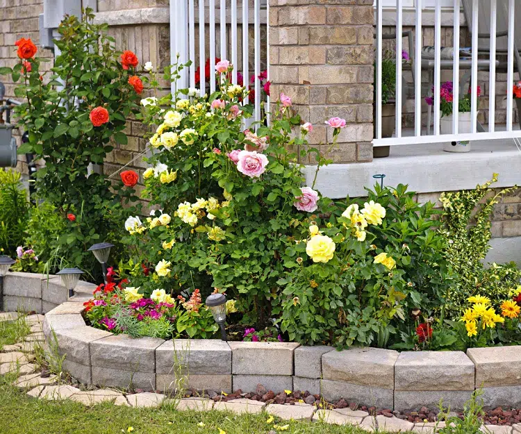 une bordure de jardin en pierre sans béton jardin rosiers