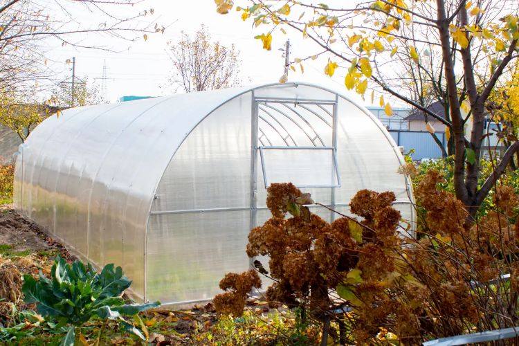 utiliser les feuilles mortes dans une serre