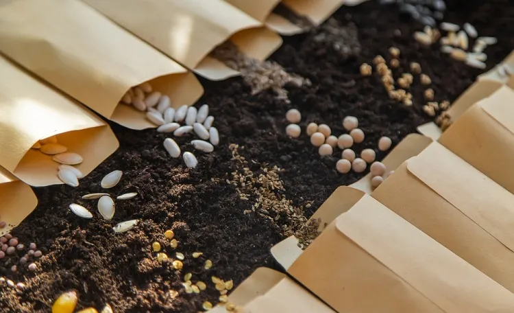 utiliser les restes de papier cadeau dans le jardinage stocker organiser les semis