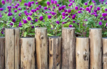 bordure de jardin végétalisé