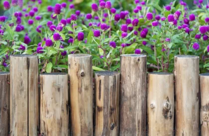 bordure de jardin végétalisé