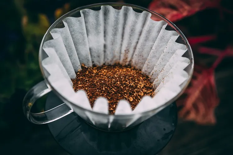 comment éviter utiliser le marc de café sur les plantes intérieur extérieur erreurs fertilisation engrais naturel
