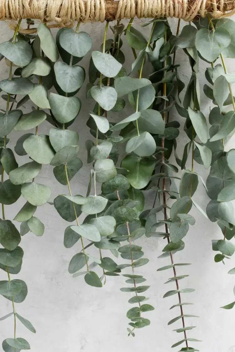décoration avec eucalyptus fabriquer soi meme brico facile automne hiver
