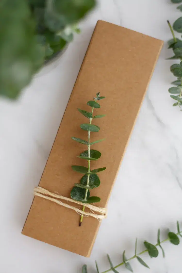 emballage cadeau décoration avec eucalyptus fabriquer soi meme bricolage hiver