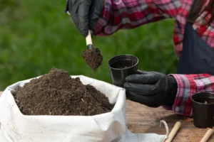 engrais azoté naturel plantes symptômes carence jcomp freepik