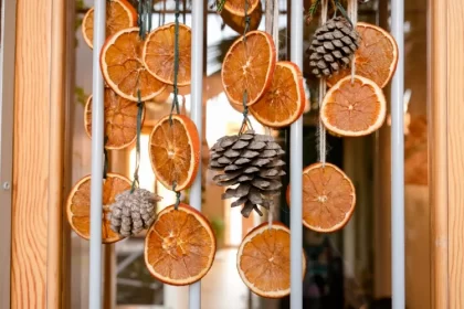 guirlande pomme de pin à faire soi même avec des oranges déhydratés