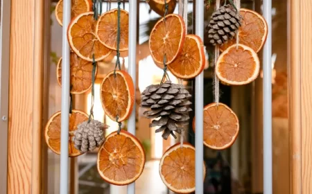 guirlande pomme de pin à faire soi même avec des oranges déhydratés