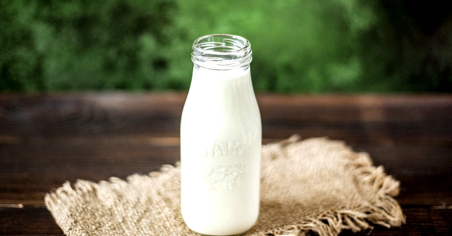 lait pour les plantes d'intérieur 2026