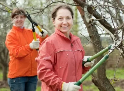 quand tailler les arbres en 2023