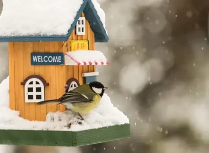 que mettre dans un nichoir à mésange