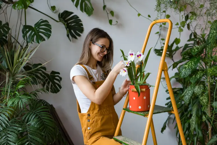 quelles plantes peut on arroser avec du lait calcium dimaberlin shutterstock