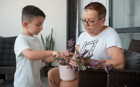 comment faire un bouturage de misère pourpre