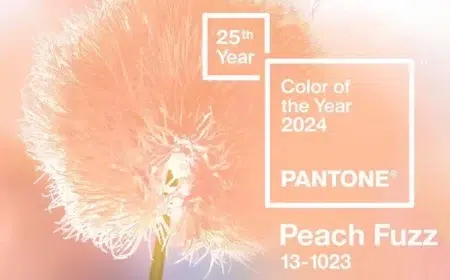 couleur pantone de 2024