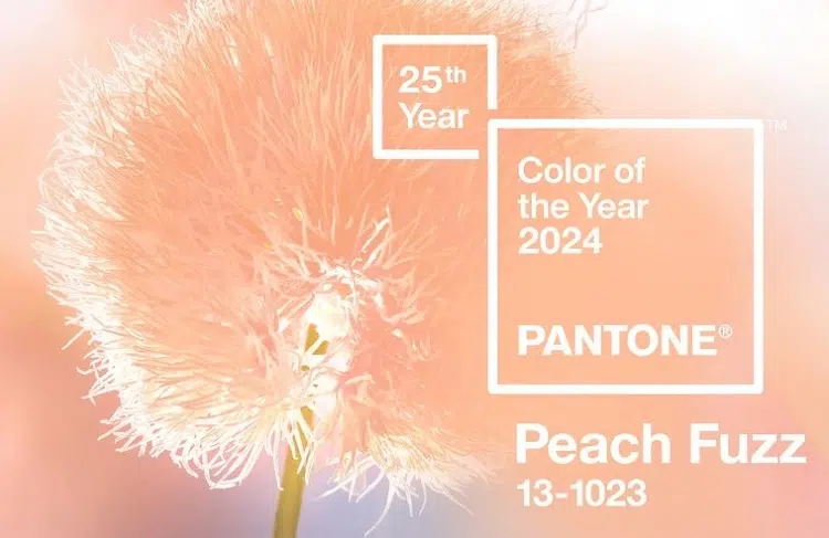 couleur pantone de 2024