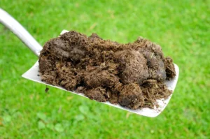 fumier de cheval composte légumes potager azote oxygène