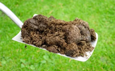 fumier de cheval composte légumes potager azote oxygène
