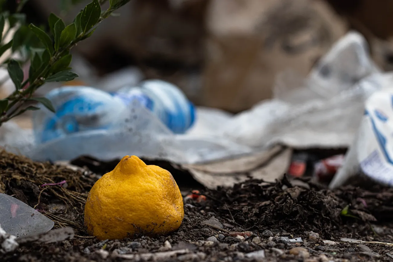 pourquoi mettre de la peau de citron autour du compost