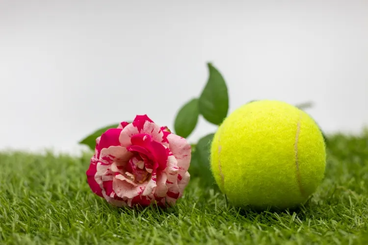 balle de tennis dans le jardin noyau caoutchouc épaisseur silicone quatre milimètres surface laine coton fibres synthétiques