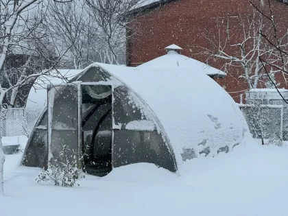 comment chauffer une serre sans électricité en hiver