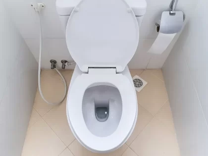 comment eliminer les vers blancs dans les toilettes et la salle de bain naturellement