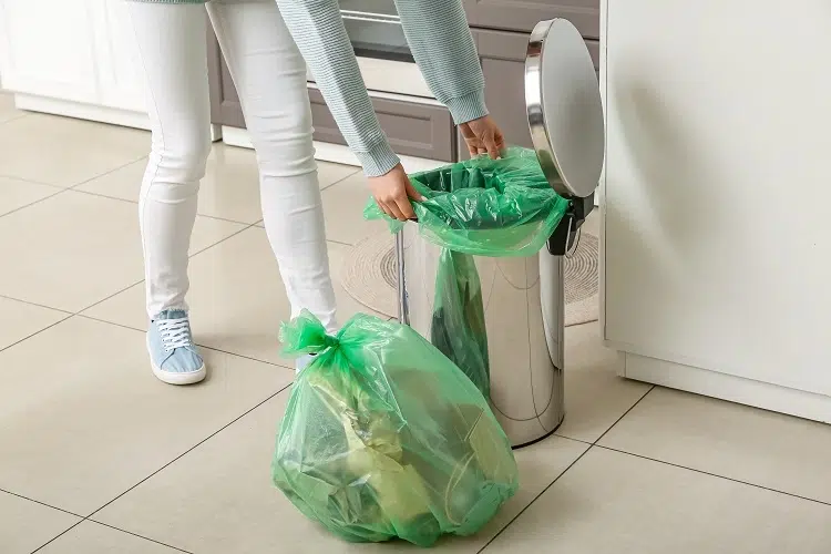 comment éviter les asticots dans la poubelle