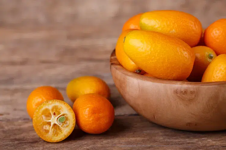 comment faire pousser un kumquat à partir du fruit