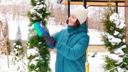 comment protéger les plantes de la neige hiver gel astuces jardin nieriss shutterstock