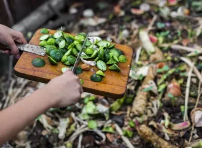 engrais naturel déchet de cuisine