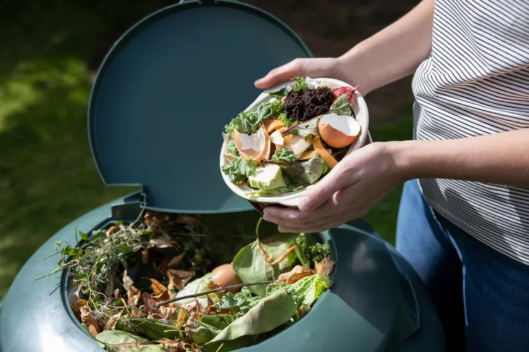 l'essentiel sur le compostage obligatoire 2024