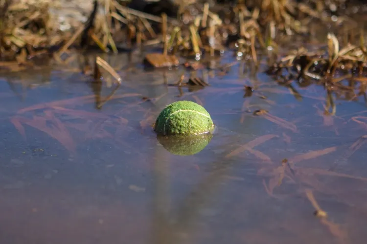 mettre une balle à tennis dans le jardin petite source eau balle empêche eau geler