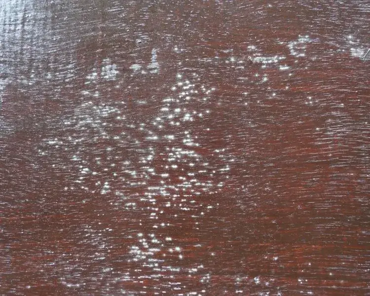 moisissure blanche sur meuble bois que faire danger risques comment éliminer débarrasser