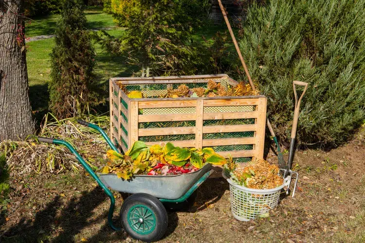 où placer le bac à compost dans le jardin meilleurs et pires endroits