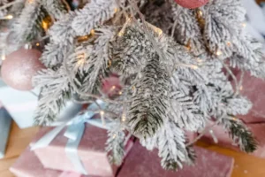 pouraquoi un sapin perd ses aiguilles que faire astuces jene smu shutterstock