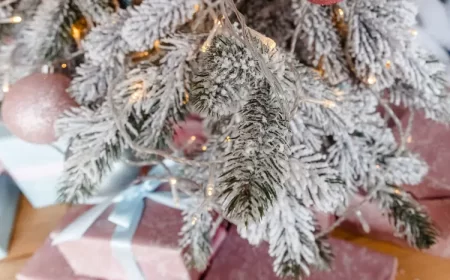 pouraquoi un sapin perd ses aiguilles que faire astuces jene smu shutterstock
