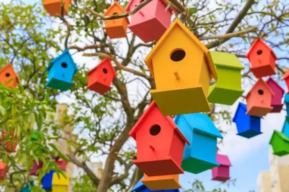 quelle est la couleur préférée des oiseaux poules rouge gorge chardonnerets les attirer s1001 shutterstock