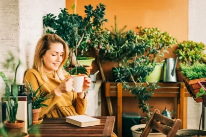 quelle plante arroser avec du thé feuilles séchées broyées utilisées faire tisane appliquer plantes intérieur